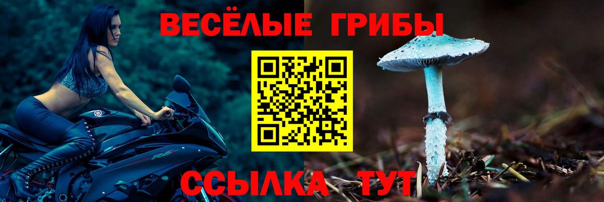 Псилоцибиновые грибы Psilocybe  Вход с VPN  Златоуст 