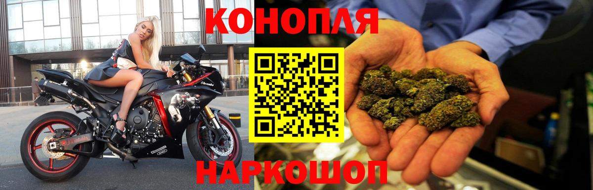 Златоуст  МАРИХУАНА план  Вход с VPN  Каннабис конопля 